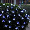 5M 20 LED Solar Cherry Flower String Lights | 8 Modes IP65
