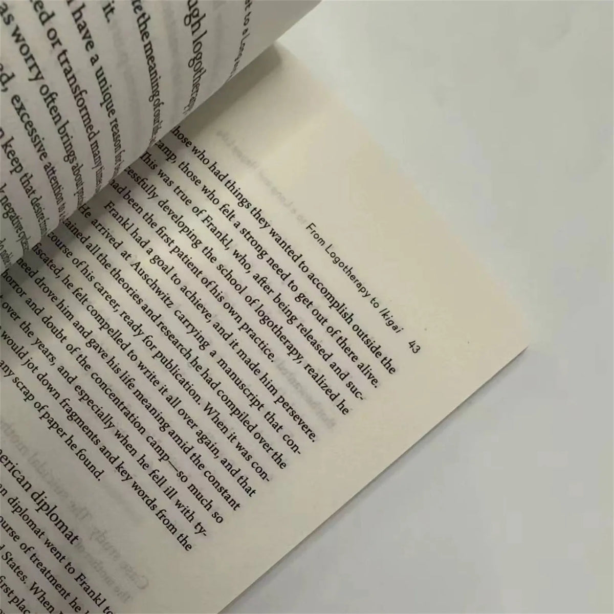 Bview Art English Version Japanese Secret Philosophy Happy Healthy