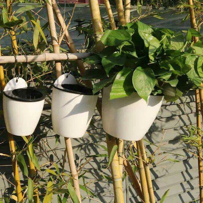 Wall-mounted Indoor Automatic Water-absorbing Flowerpot Plastic