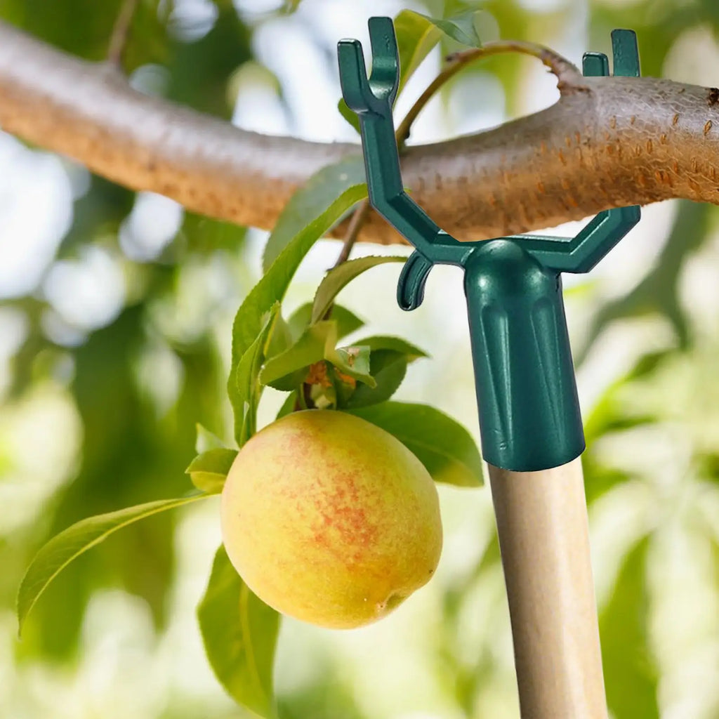 5-Pack Reusable Tree Branch Support Stands | Leaning Trees