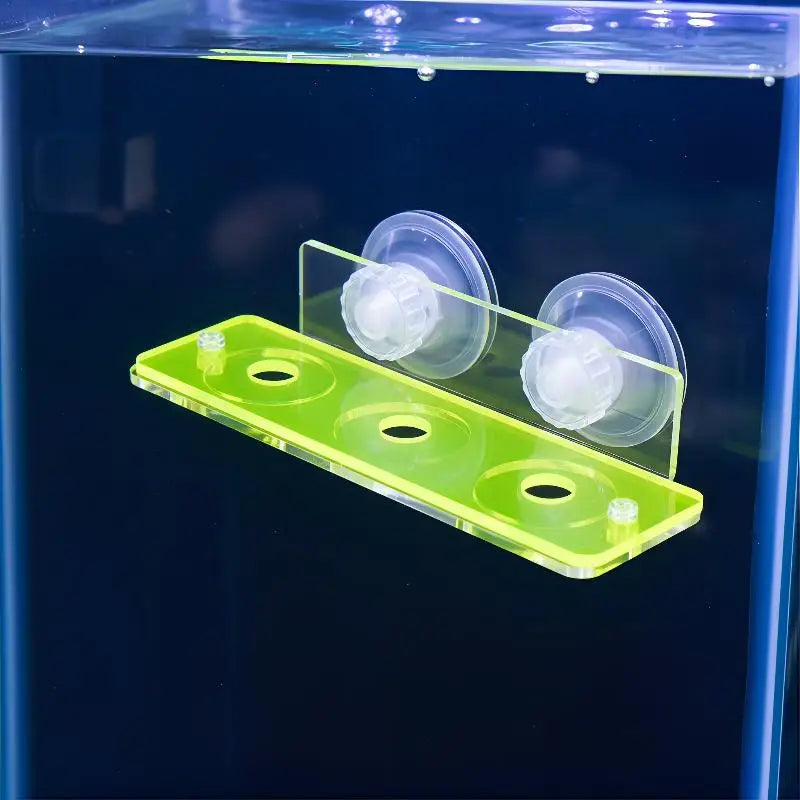 Fluorescent Acrylic Coral Frag Rack – SPS Plug Holder Reef Tank