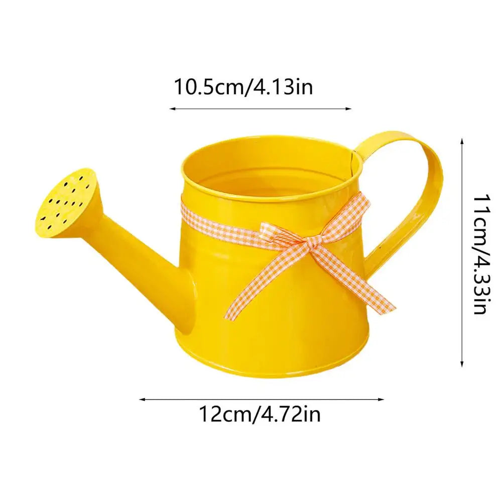 Mini Metal Watering Can – Decorative Indoor Plant Sprinkler 1L