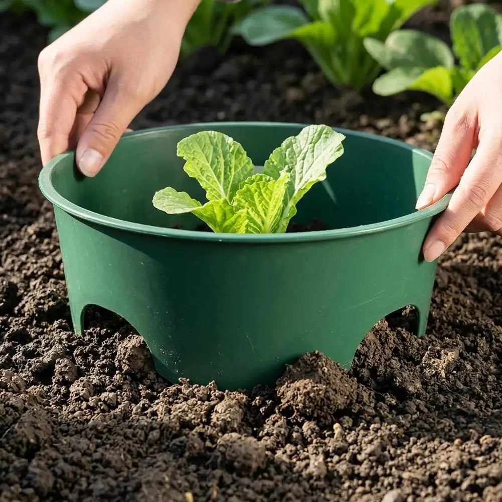 Green Plastic Plant Support Ring – Seedling Pot Holder 22cm