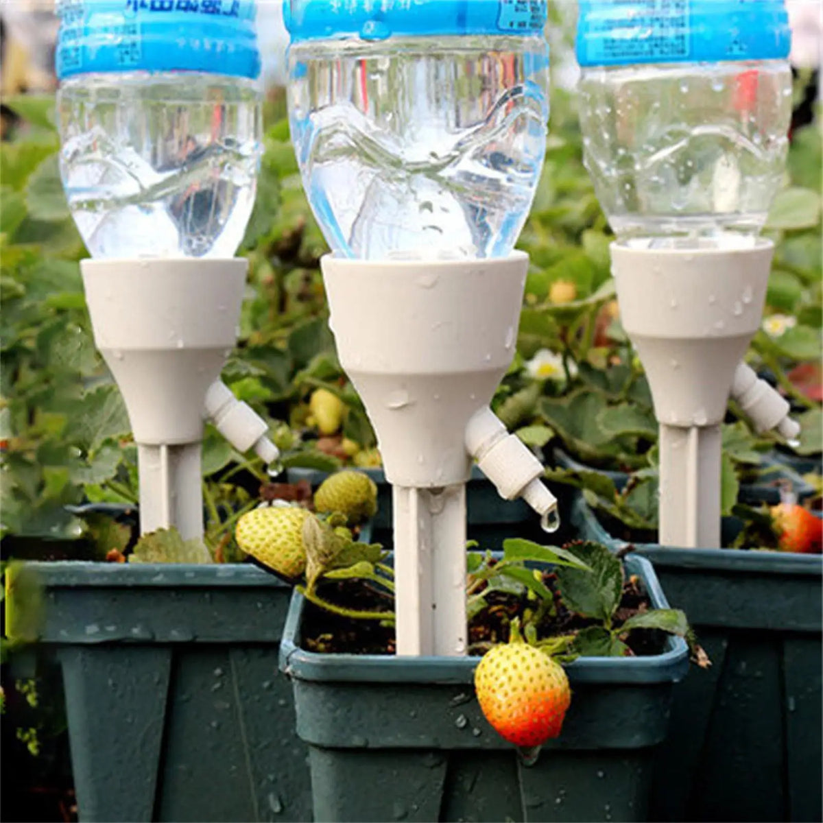 Plant Watering Spikes 3-Pack | Automatic Drip Irrigation Stakes