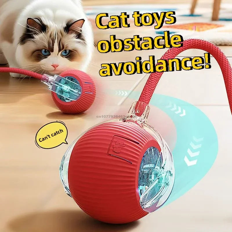 Automatic Rolling Interactive Cat Ball Toy – Rechargeable