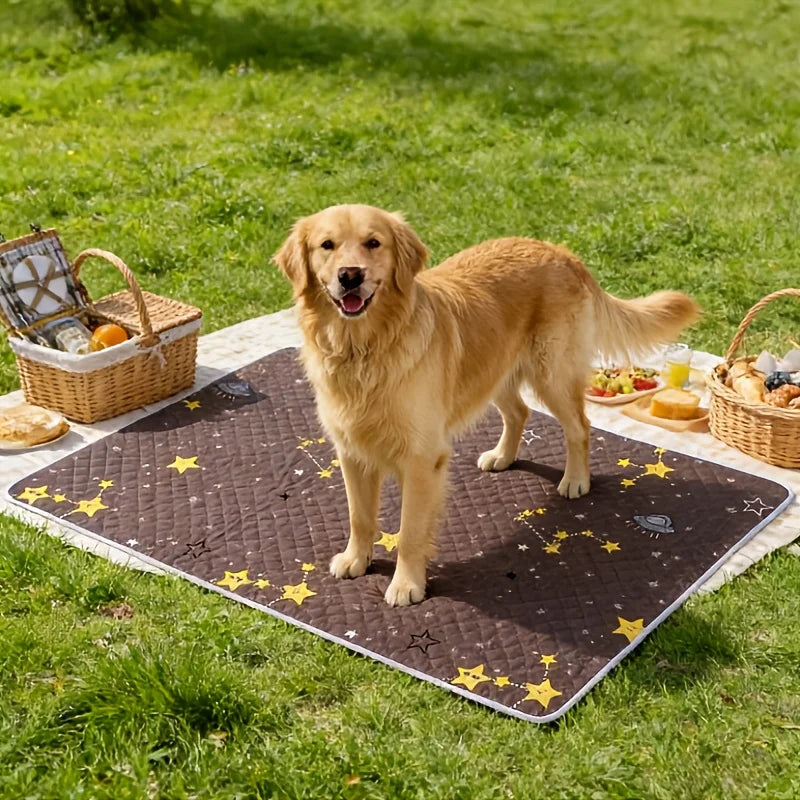 KEMORELA 2-Pack Reusable Dog Training Mats – Washable Pet Pads