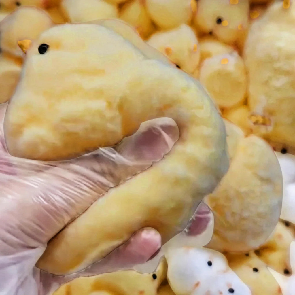 Handmade Squishy Chicken Plush Toy – Soft Squeeze Fidget Gift