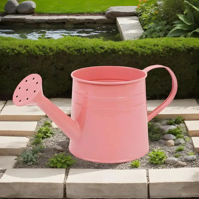 Small Watering Can Indoor Plants Long Spout Flower Arrangement Bucket