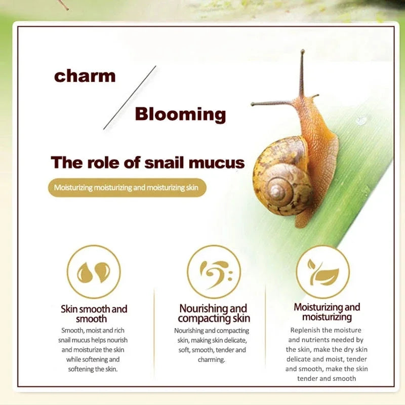 Snail Collagen Face & Eye Cream – Brightening Anti-Aging Set