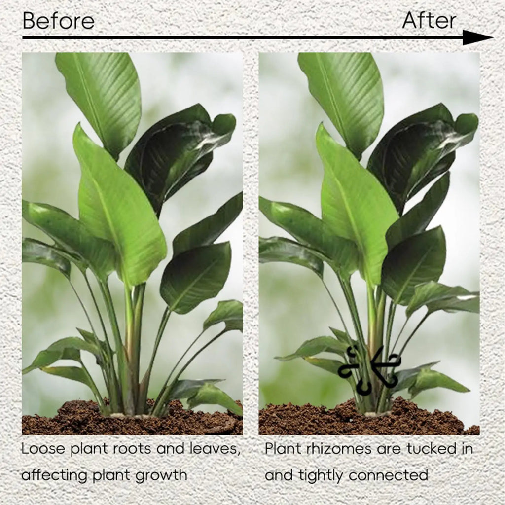 4-Piece Plant Stem Support Set for Climbing Indoor Plants