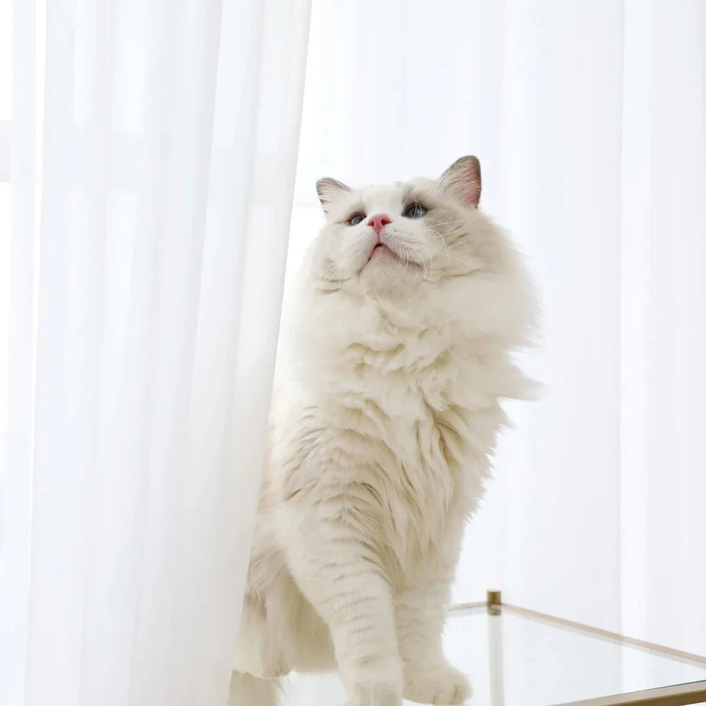 Sheer Curtains Bedroom Windows Casual Solid White Yarn Tulle Curtain