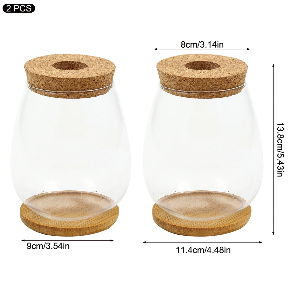 Glass Terrarium Vase & Wood Stand | Propagation Station Set of 2