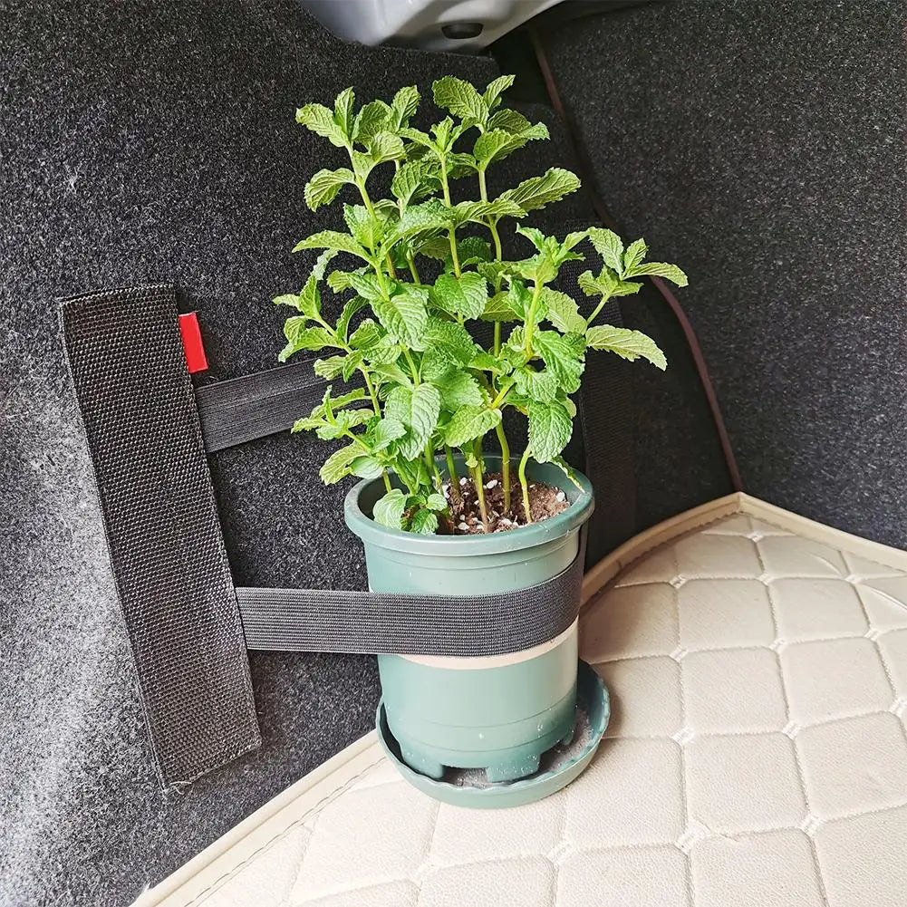 Car Trunk Elastic Organizer Strap | Adjustable Fixing Belt