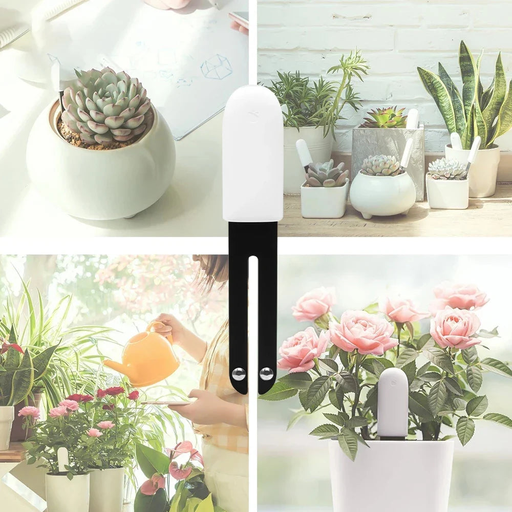 HHCC Flora Monitor Flower Care Plant Sensor Grass Soil Water