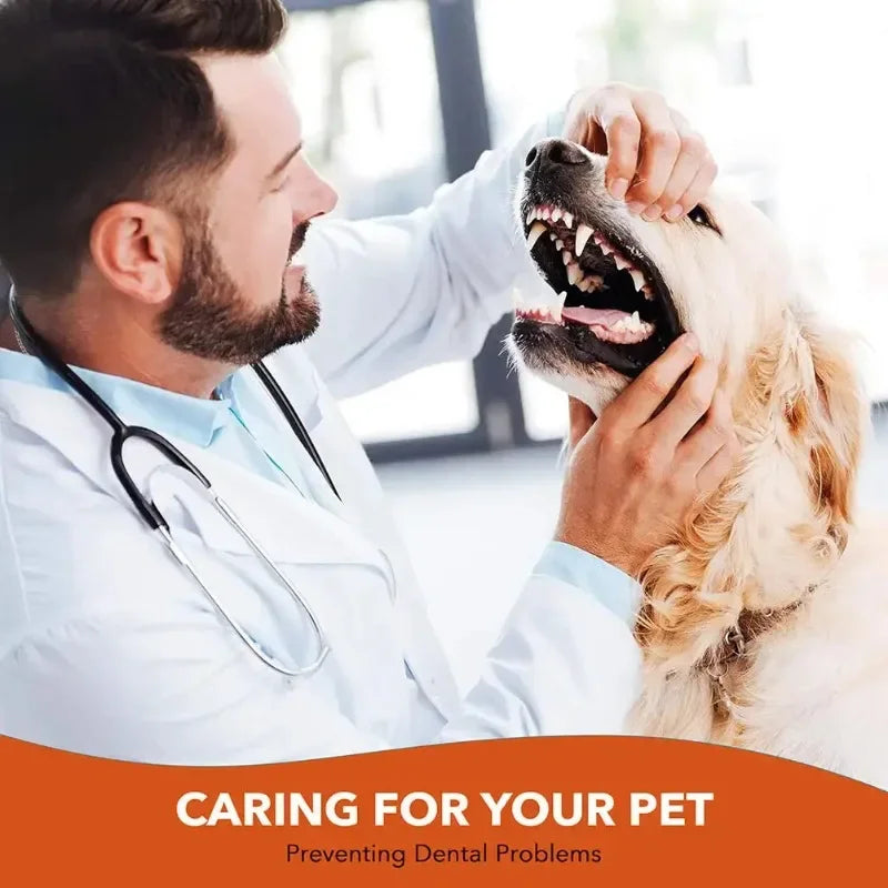 Pet Dog & Cat Toothbrush – 3-Head Dental Cleaning Tool