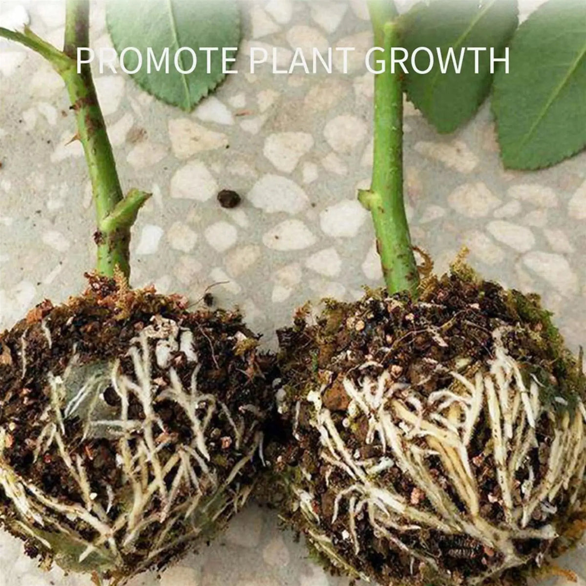 Plant Propagation Ball – Grafting Root Growing Box for Garden