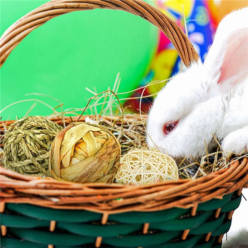 A36T-Small Animal Activity Toy Pets Play Chew Toys Bunny Rabbits