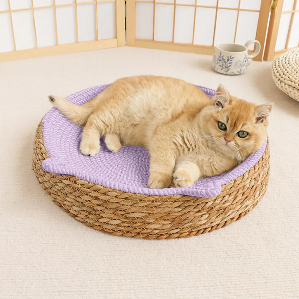 Round Cat Scratcher Breathable Pad Kitten Ear Design Cotton Rope