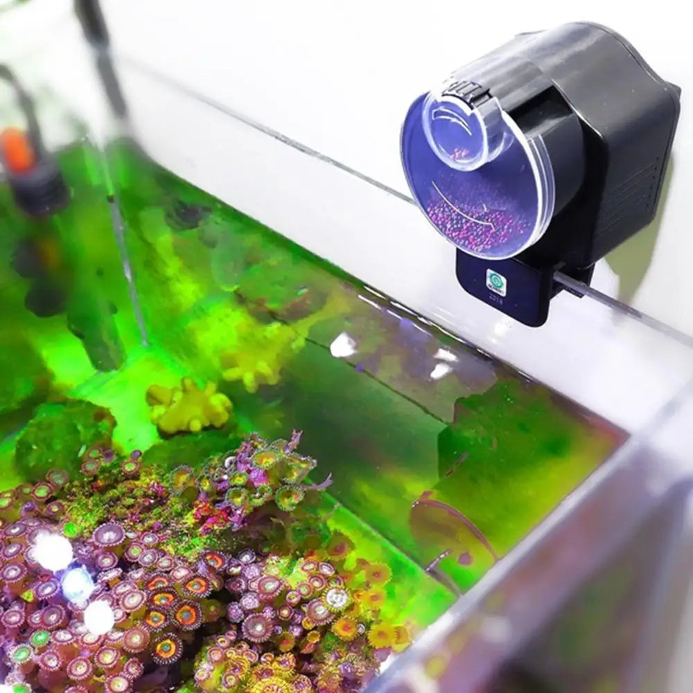Automatic Fish Feeder | Aquarium Timer Food Dispenser