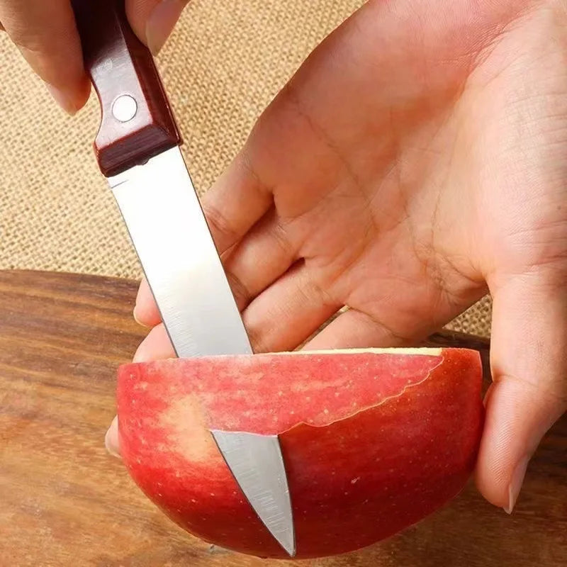 Stainless Steel Portable Fruit Knife – Wood-Look Handle | 19cm