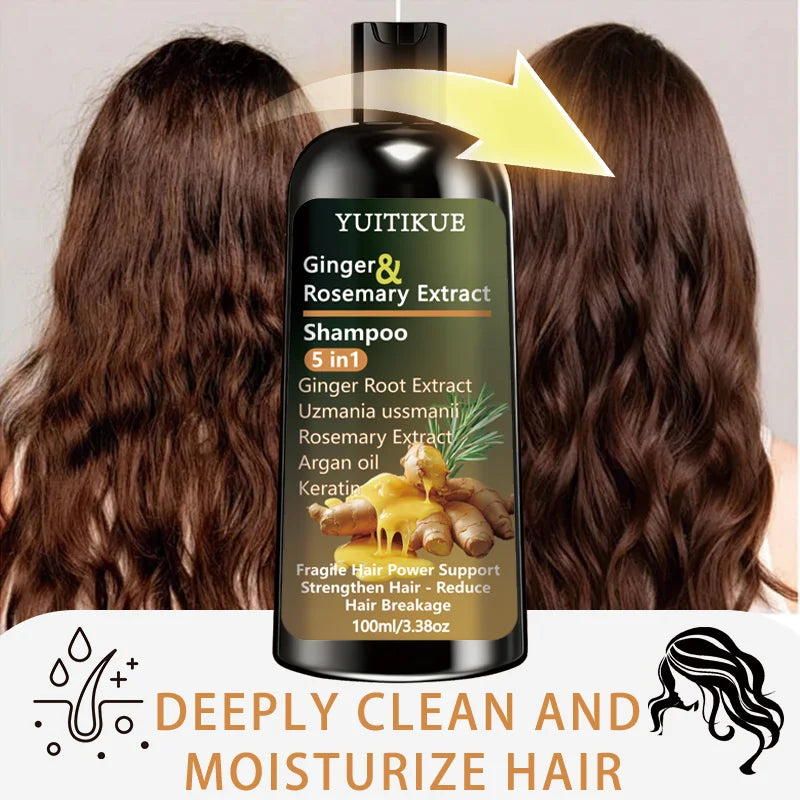Ginger & Rosemary 5-in-1 Shampoo | Keratin & Argan Oil 100ml