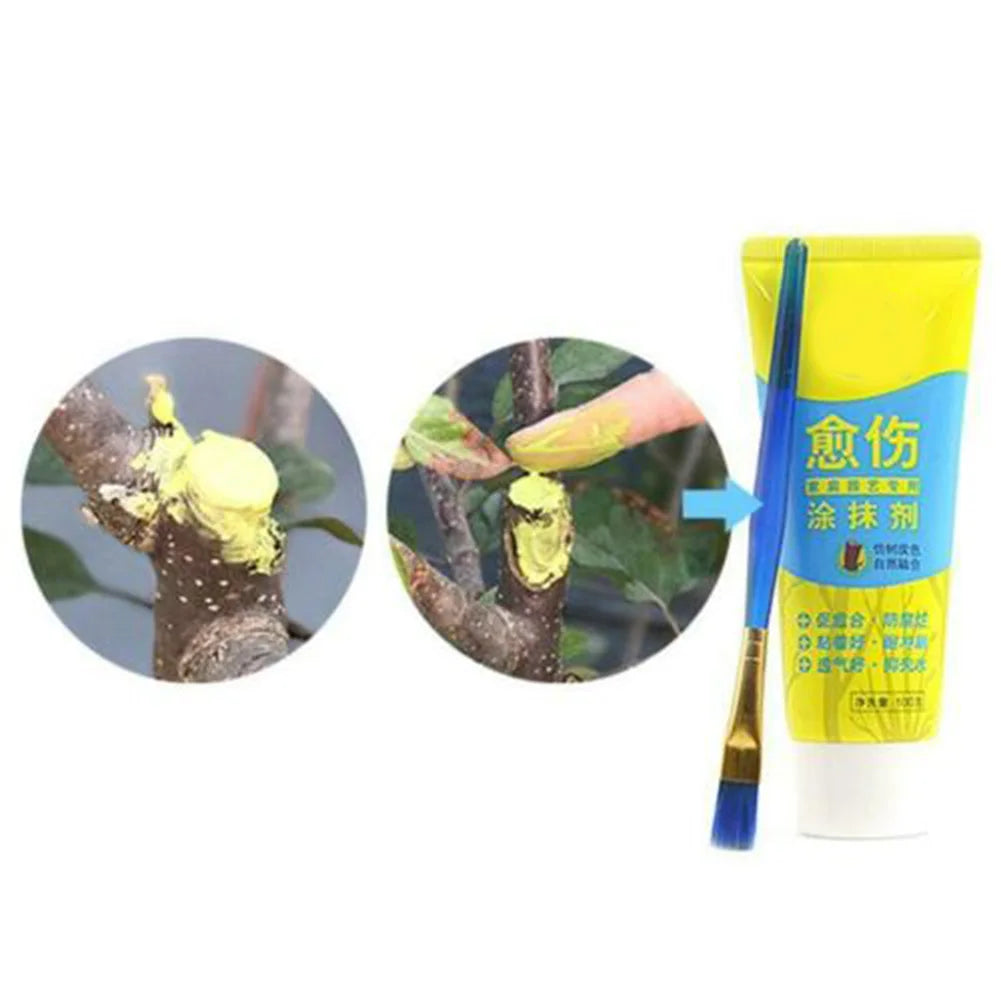 Bonsai Tree Pruning Wound Sealer Paste with Brush – 100g