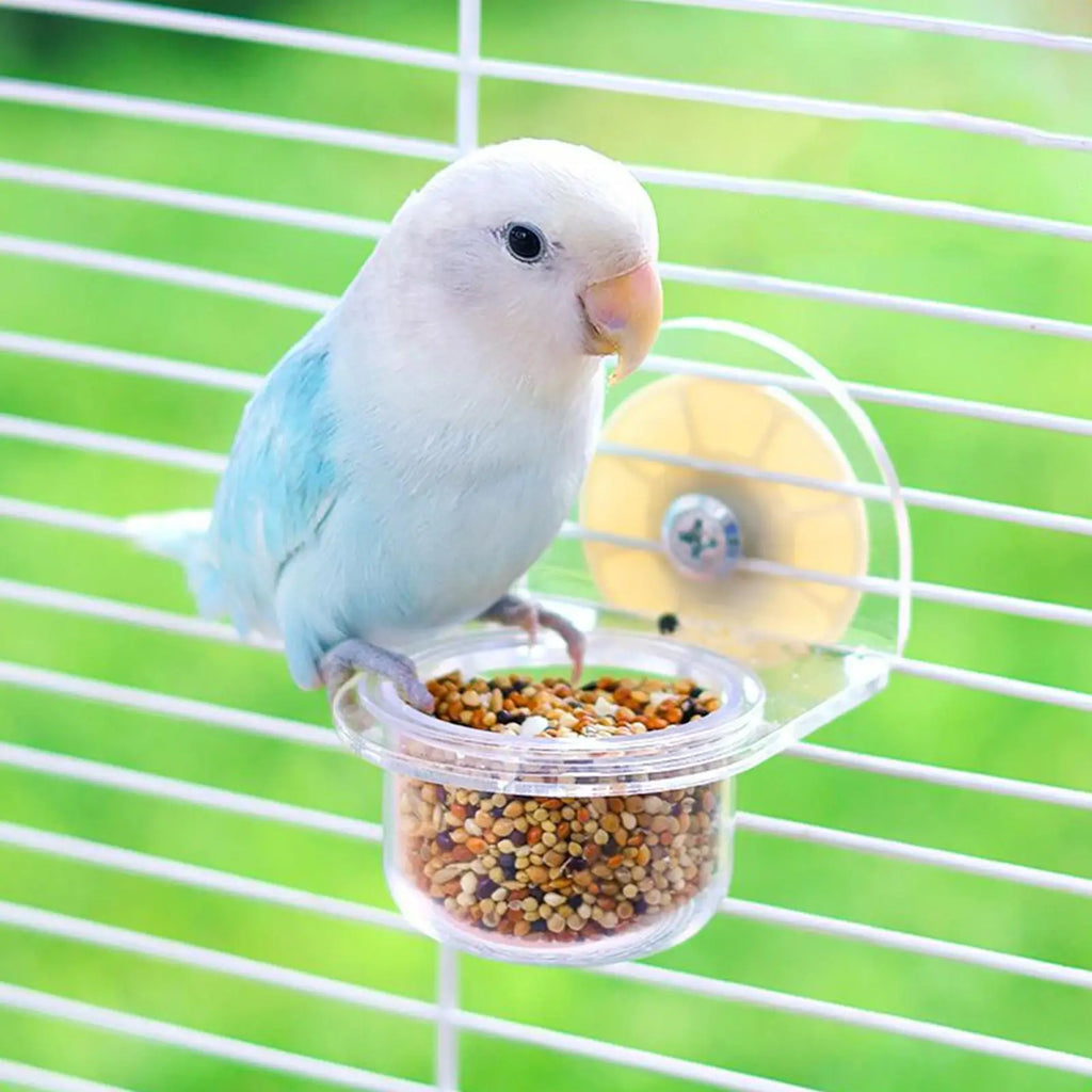 Detachable Transparent Bird Feeder Cups for Cages | Parrot & Cockatiel