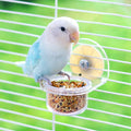 Detachable Transparent Bird Feeder Cups for Cages | Parrot & Cockatiel