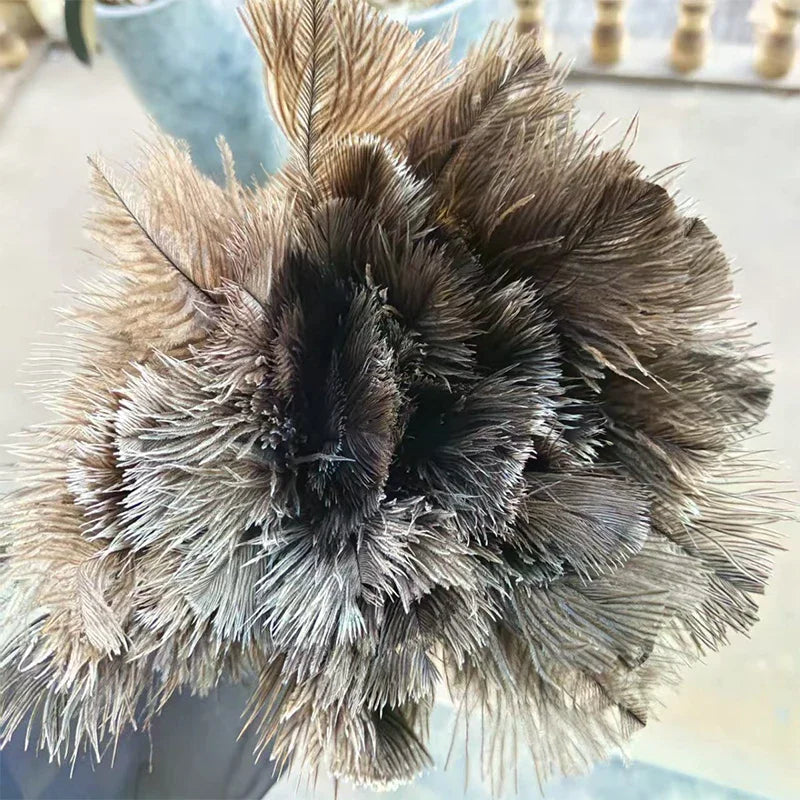 Natural Ostrich Feather Duster with Wooden Handle | Home Cleaning