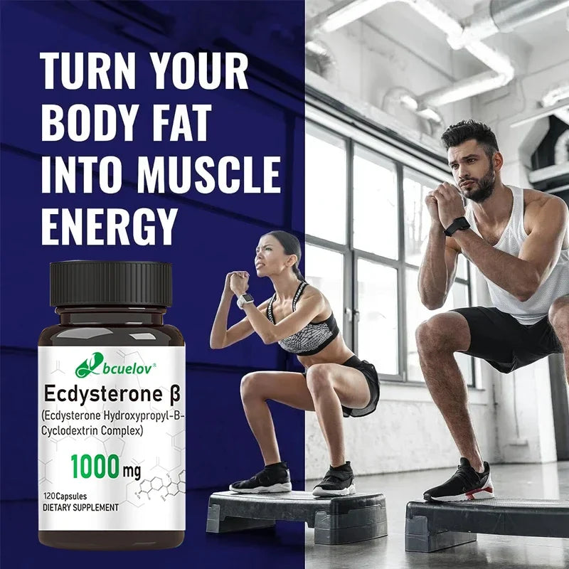 Ecdysterone Capsules – Lean Muscle & Athletic Performance Support