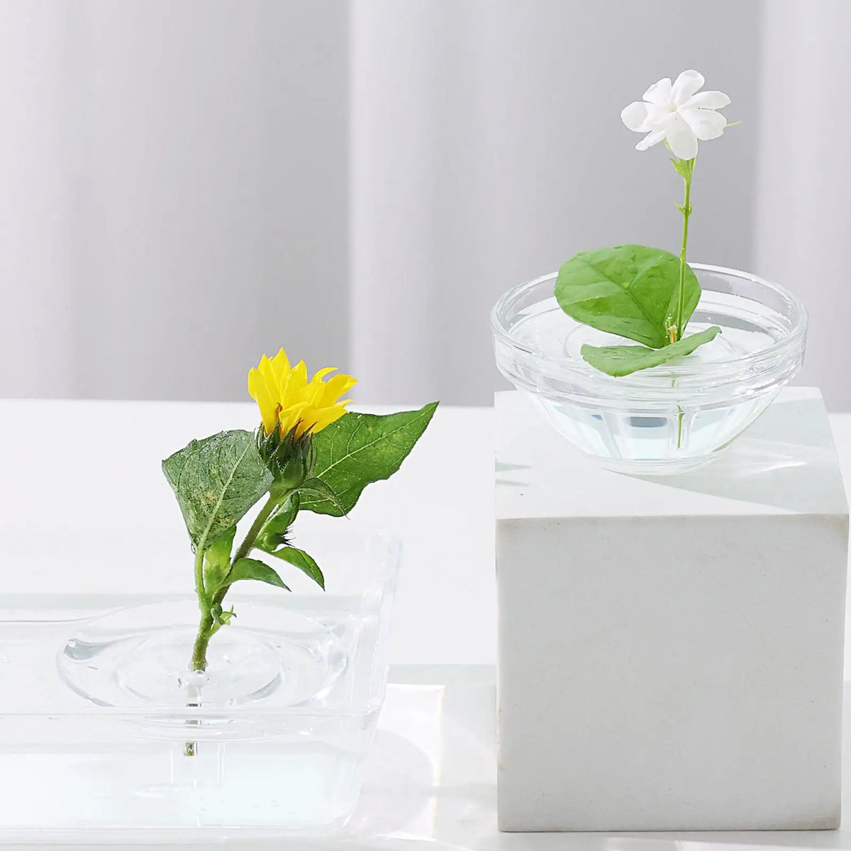 10-Piece Transparent Floating Floral Stem Holders for Vases