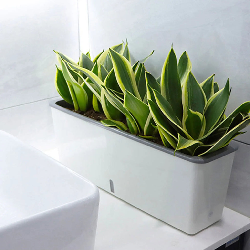 Twin-Layer Self-Watering Long Strip Planter Pot | Indoor Garden