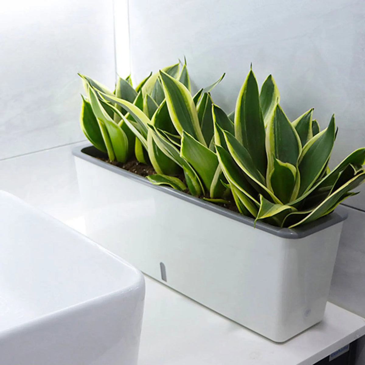 Twin-Layer Self-Watering Long Strip Planter Pot | Indoor Garden