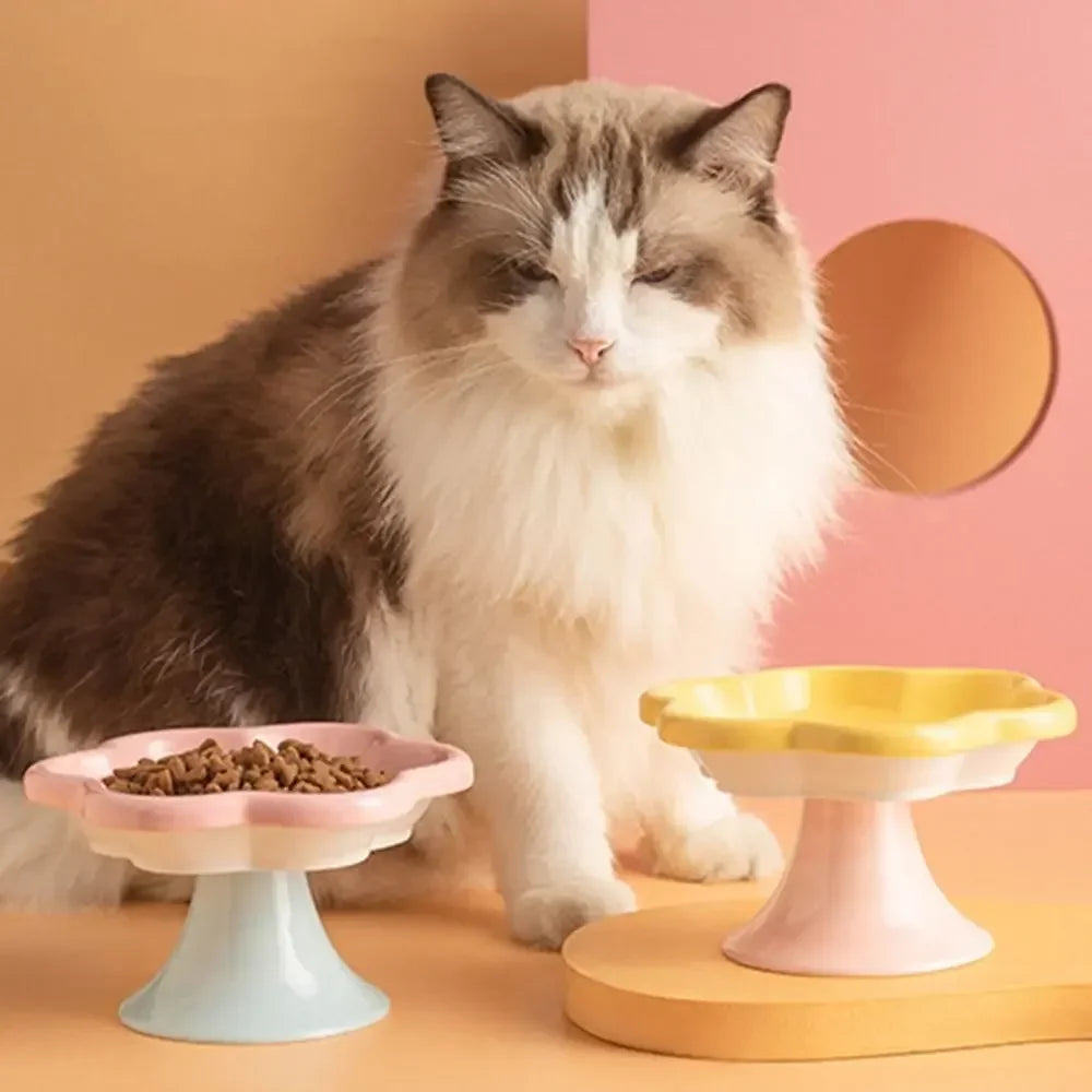 Elevated Ceramic Cat Bowl | Non-Slip Anti-Tip Raised Feeder
