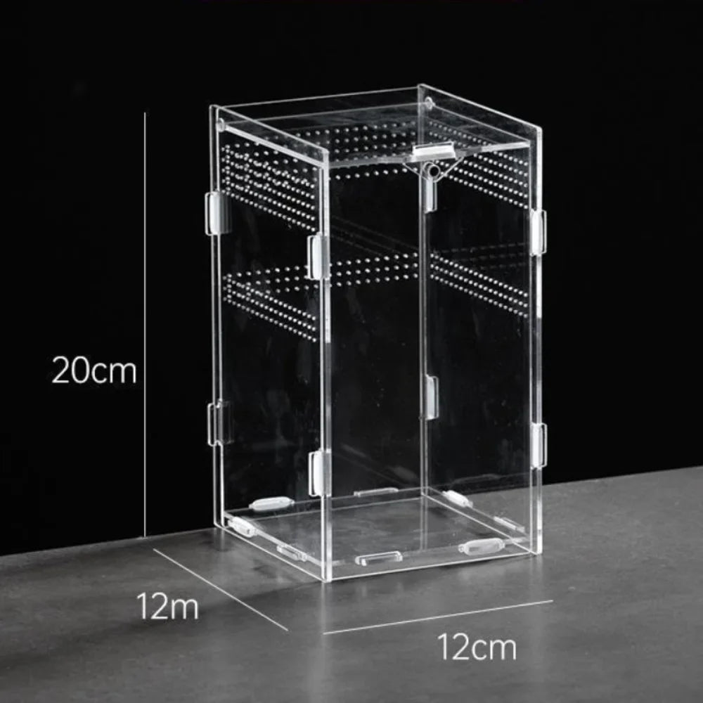 Durable Acrylic Reptile Habitat Clear Multiple Spider Feeding Case