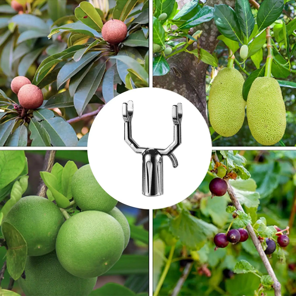 5-Pack Metal Tree Branch Support Kit | Garden Straightening Set