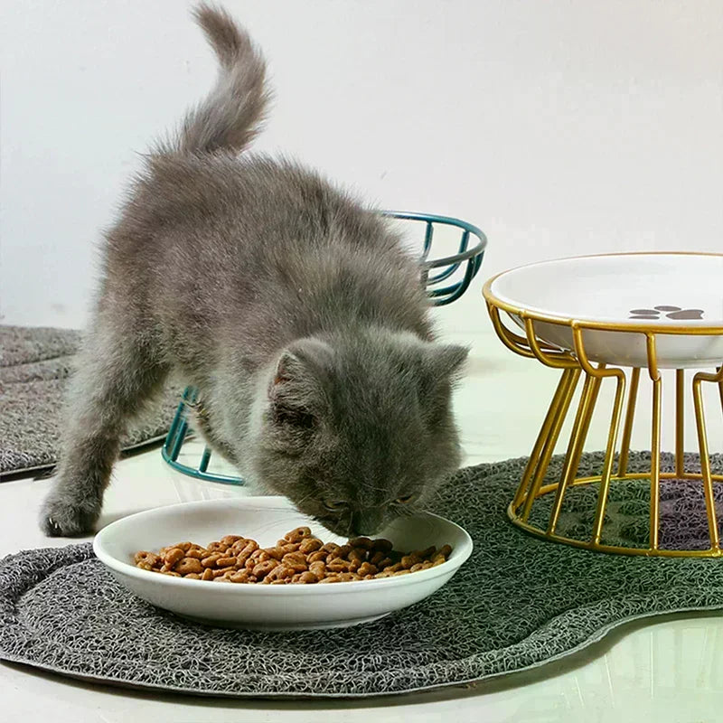 Ceramic Raised Pet Bowl Food Water Supports Cats Amp Doggie Cat Stand