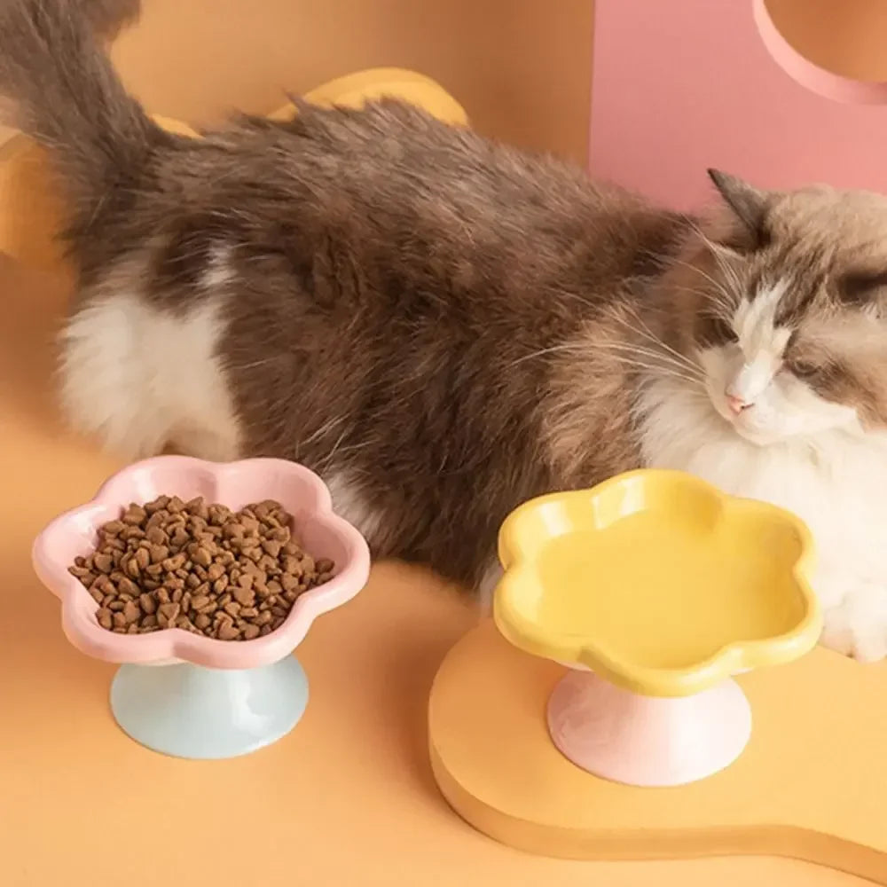 Elevated Ceramic Cat Bowl | Non-Slip Anti-Tip Raised Feeder