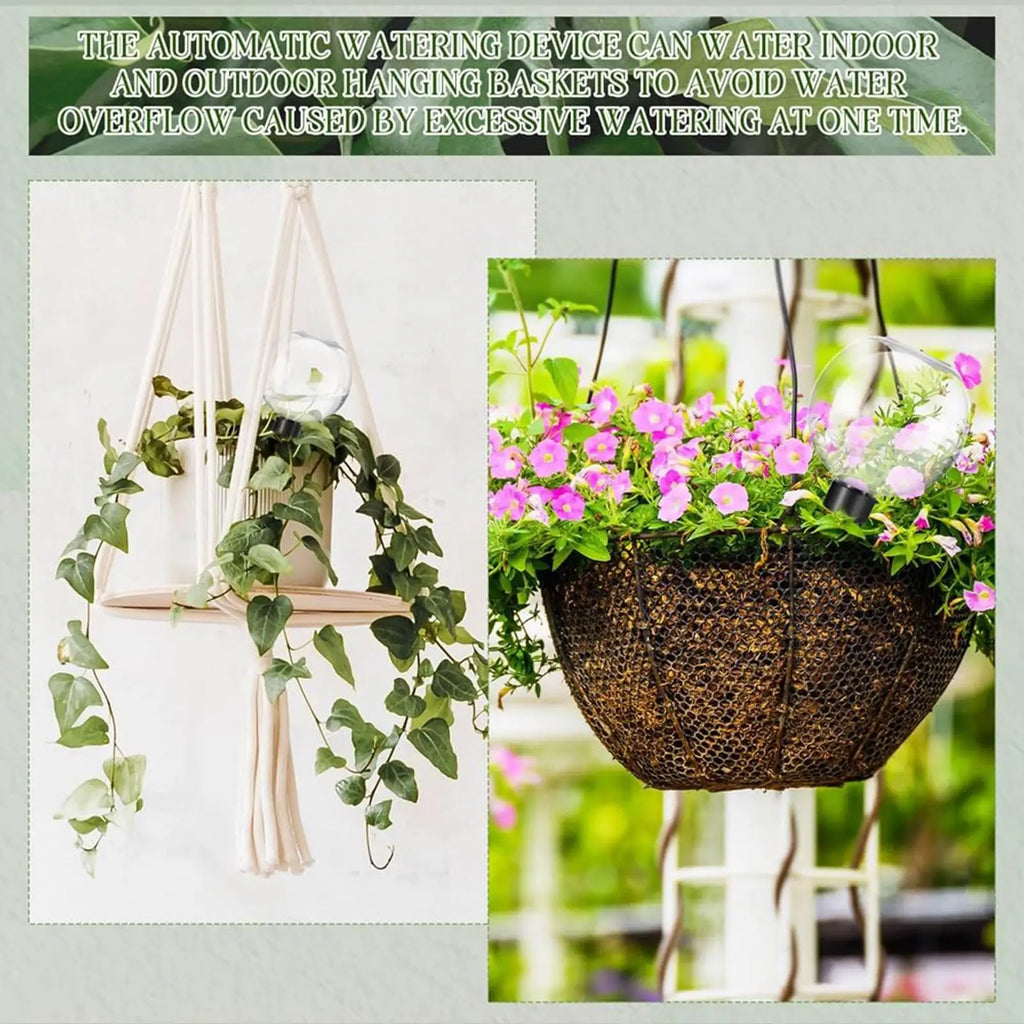 500ml Self-Watering Plant Globe Bulb | Auto Drip Spike