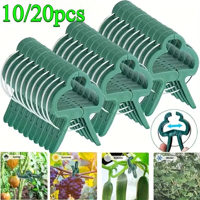 10 Adjustable Plant Fixed Clips Reusable Greenhouse Bracket Fixing