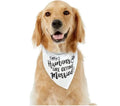 My Humans Are Getting Married Dog Bandana | Wedding Pet Scarf