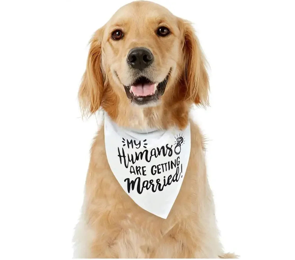 My Humans Are Getting Married Dog Bandana | Wedding Pet Scarf
