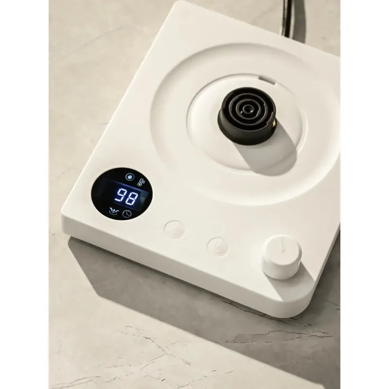 1000W Gooseneck Electric Kettle 1L | LED Temp Control, Stainless