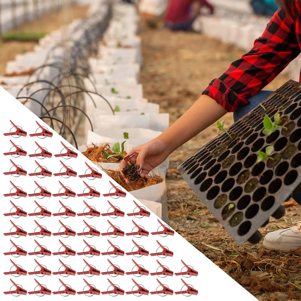 Plant Grafting Clips 50 Fixing Clamp Falt Mouth Climbing Supports