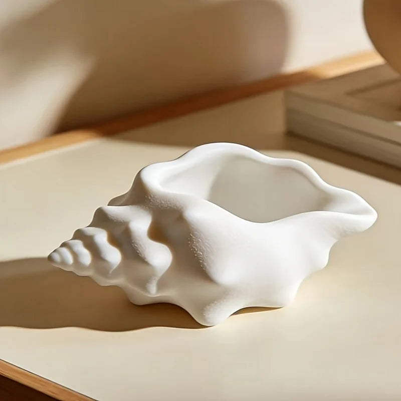 Creamy White Seashell Storage Box | Desktop Organizer