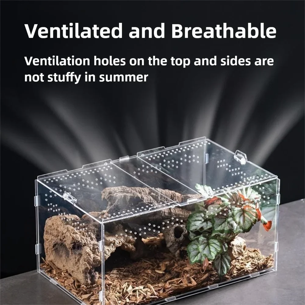 Durable Acrylic Reptile Habitat Clear Multiple Spider Feeding Case