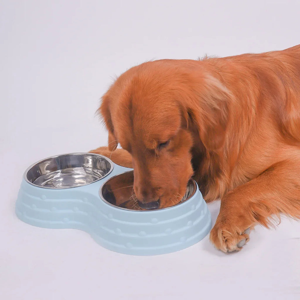 Double Bowl Pet Feeder – Stainless Steel, Non-Slip Base | Dogs & Cats