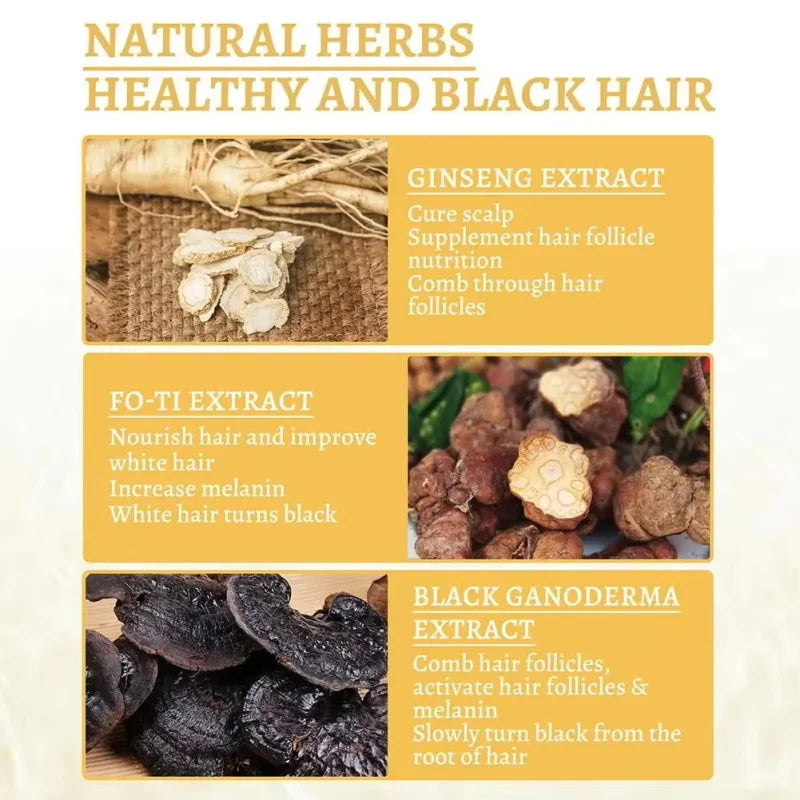 Herbal Hair Dye Shampoo – Natural Black & Grey Coverage
