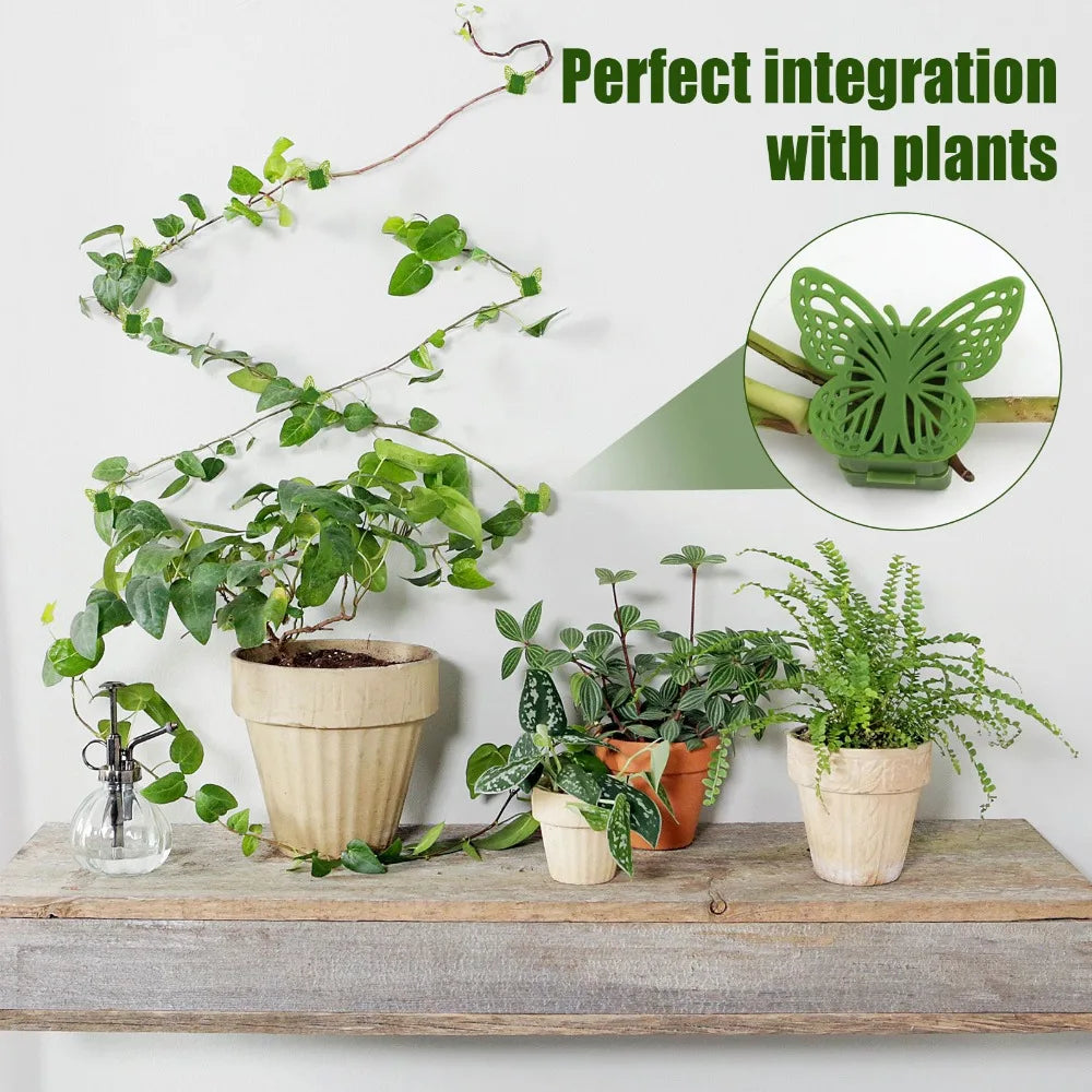 Butterfly Plant Climbing Clips | Wall Vine & Flower Support 10pk