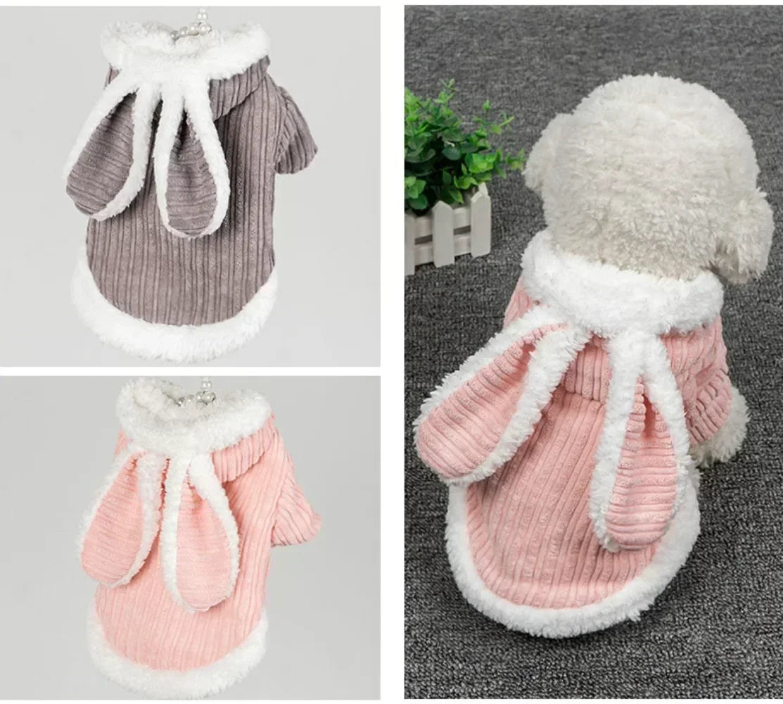 Winter Rabbit Ear Teddy Bear Dog Cat Clothes Warm Comfortable Elastic